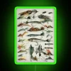 Vintage 1920s Fishing Fly Decorative RGB Neon Bar Sign Illumination