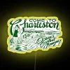 Vintage Inspired 1920s Charleston SC Downtown Historic District RGB LED Sign