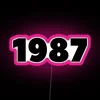 1987 Birthday Gift Made In 1987 Born In 1987 Vintage 1987 Plate 1987 Anniversary Limited Edition 1987 Collectible RGB Neon Sign