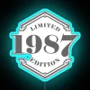 Vibrant Retro Art Decorative Limited Edition 1987 Colorful Neon Sign