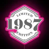 Retro futuristic aesthetic of vintage 1987 Limited Edition RGB signage.