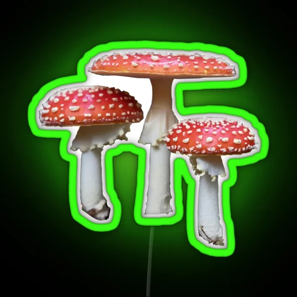 3 Fly Agaric Mushrooms RGB Neon Sign