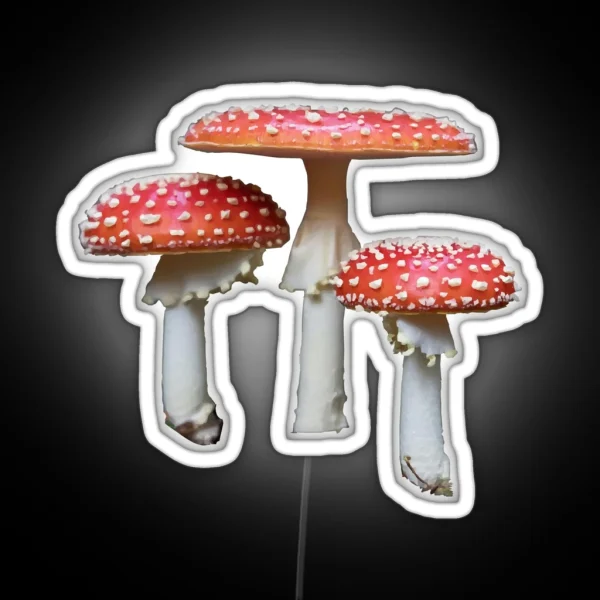 3 Fly Agaric Mushrooms RGB Neon Sign