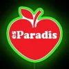 Vintage Es Paradis led Neon Sign Retro Ibiza Inspired Classic Style