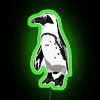 A Is For African Penguin RGB Neon Sign - Image 4