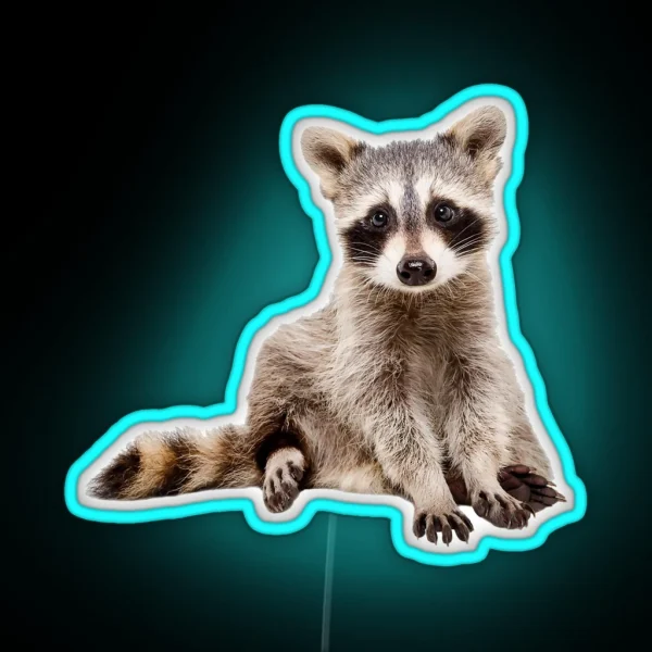 A Little Raccoon Sits Funny And Looks At You RGB Neon Sign