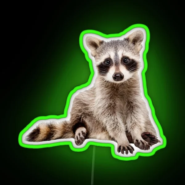 A Little Raccoon Sits Funny And Looks At You RGB Neon Sign