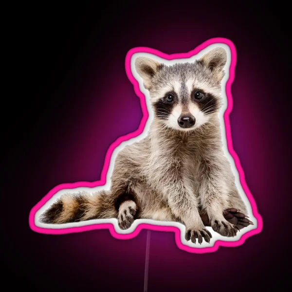 A Little Raccoon Sits Funny And Looks At You RGB Neon Sign