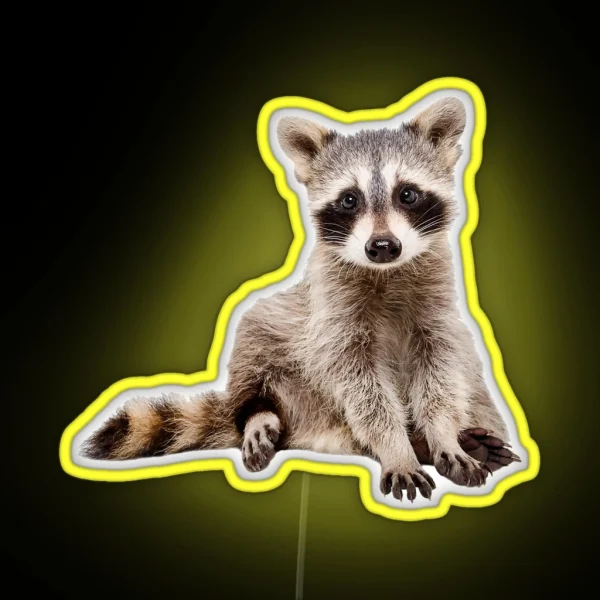 A Little Raccoon Sits Funny And Looks At You RGB Neon Sign