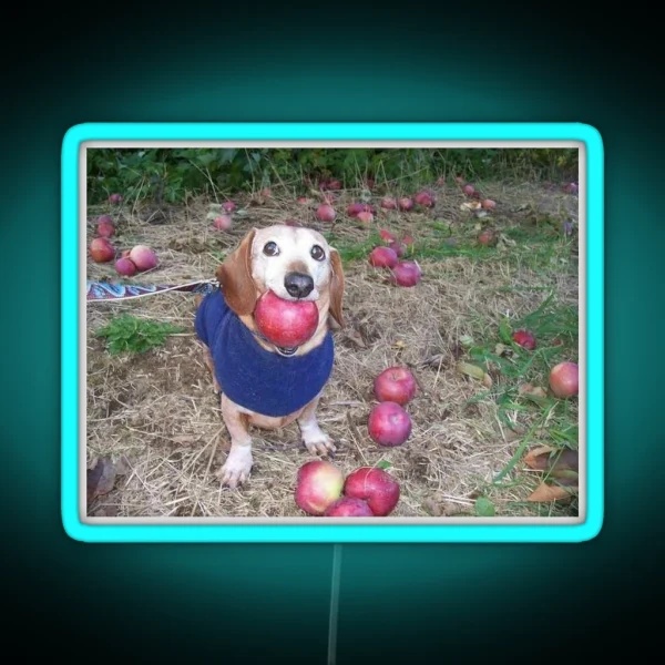 A Puppy With An Apple RGB Neon Sign