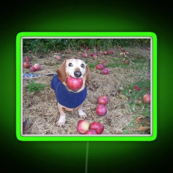 A Puppy With An Apple RGB Neon Sign