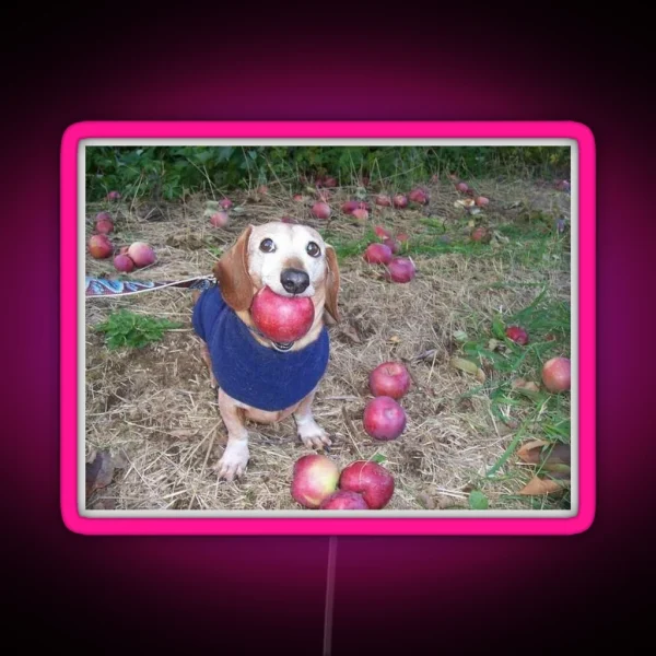 A Puppy With An Apple RGB Neon Sign