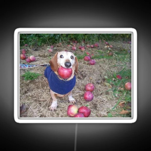 A Puppy With An Apple RGB Neon Sign