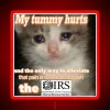 Fight against government overreach with this anti-IRS statement sign.