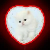 Cozy Whimsy Feline Love Radiates in Adorable Neon Kitty Heart Sign