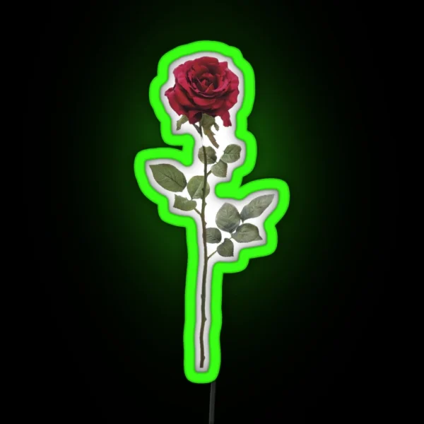 Aesthetic Rose RGB Neon Sign