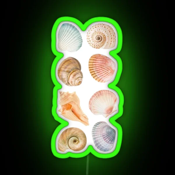 Aesthetic Shell Led RGB Neon Sign