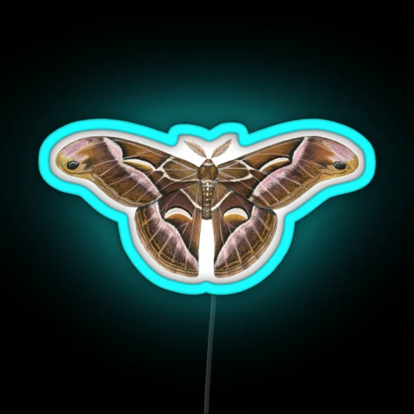 Ailanthus Silkmoth Samia Cynthia RGB Neon Sign