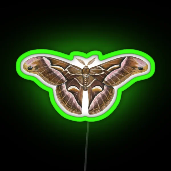 Ailanthus Silkmoth Samia Cynthia RGB Neon Sign