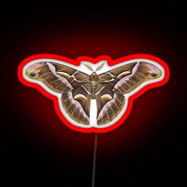 Ailanthus Silkmoth Samia Cynthia RGB Neon Sign