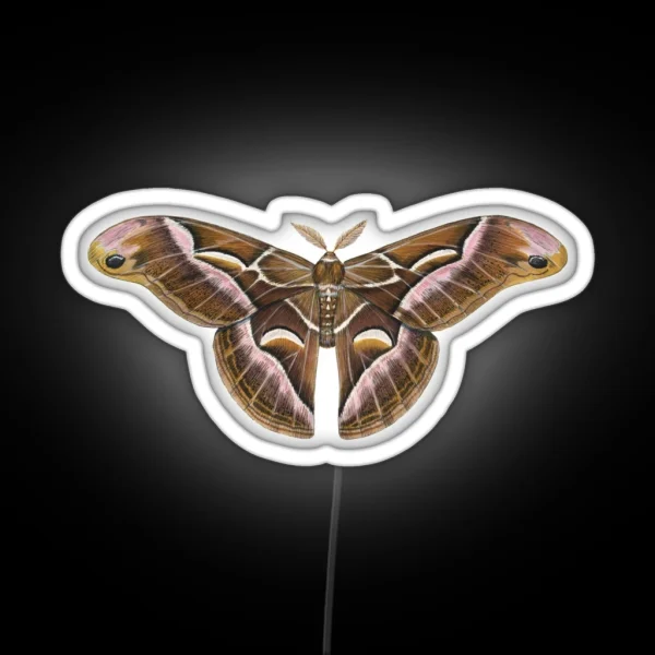 Ailanthus Silkmoth Samia Cynthia RGB Neon Sign