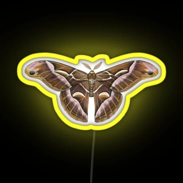 Ailanthus Silkmoth Samia Cynthia RGB Neon Sign