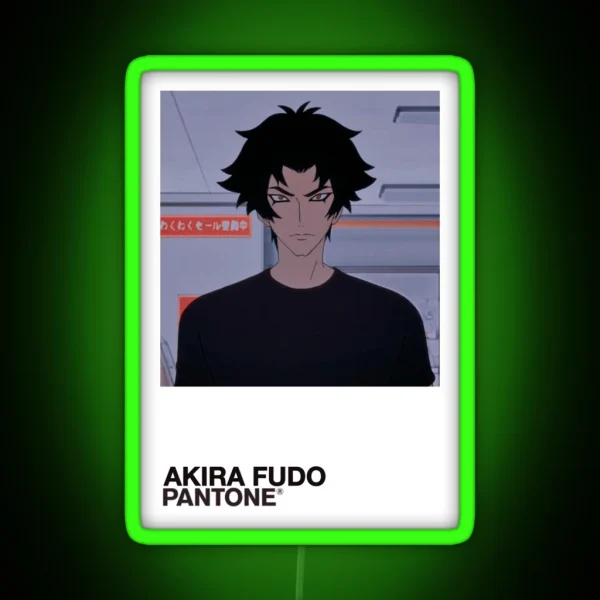 Akira Fudo Color Swatch RGB Neon Sign