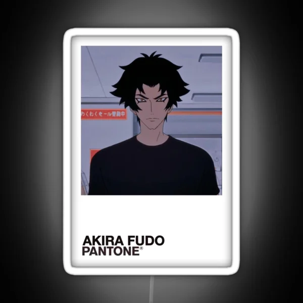 Akira Fudo Color Swatch RGB Neon Sign
