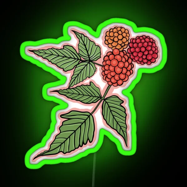 Alaskan Wild Salmonberry RGB Neon Sign