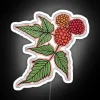 Alaskan Wild Salmonberry RGB Neon Sign