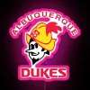 Albuquerque Dukes RGB Neon Sign - Image 6