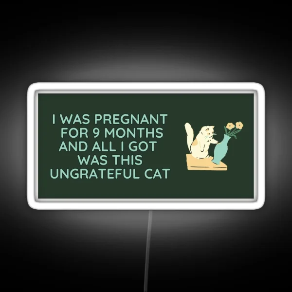 All I Got Was This Ungrateful Cat RGB Neon Sign