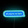 Vibrant 'All Payne No Liam' Neon Sign in RGB Colors