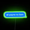 Unique Handmade RGB Neon Sign for Liam's Personalized Room Decor.
