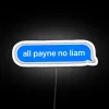 Unique modern home decor neon signs with custom name options