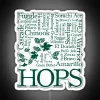 Brightly illuminated all hop varieties shine in radiant colors