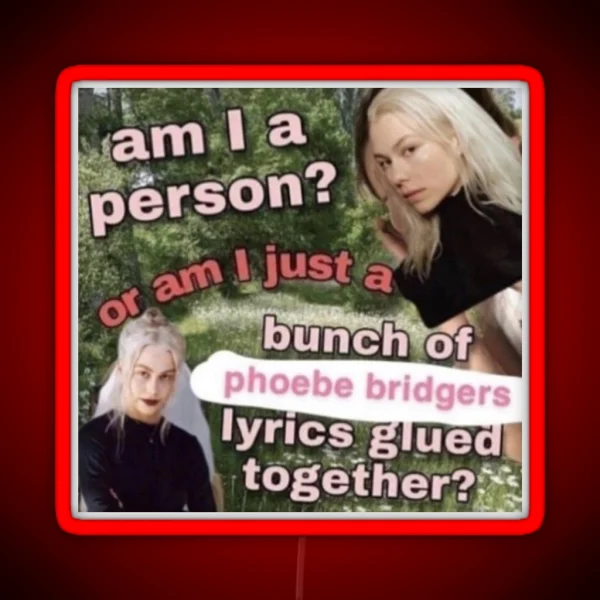 Am I A Person Or Am I Just A Bunch Of Phoebe Bridgers RGB Neon Sign