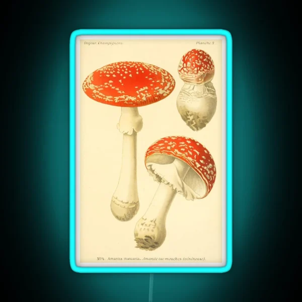 Amanita Muscaria Dufour L RGB Neon Sign