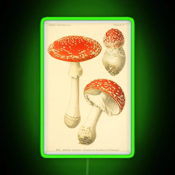 Amanita Muscaria Dufour L RGB Neon Sign