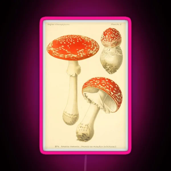 Amanita Muscaria Dufour L RGB Neon Sign
