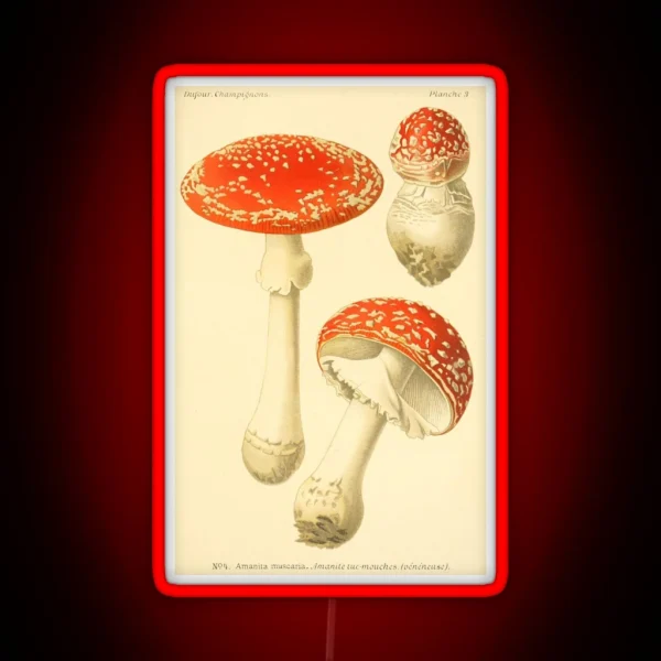 Amanita Muscaria Dufour L RGB Neon Sign