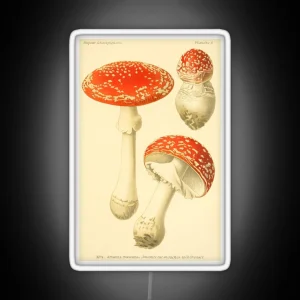 Amanita Muscaria Dufour L RGB Neon Sign