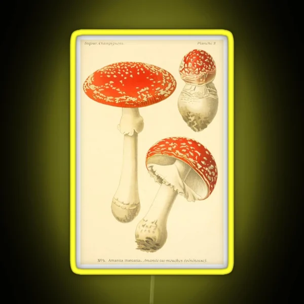 Amanita Muscaria Dufour L RGB Neon Sign
