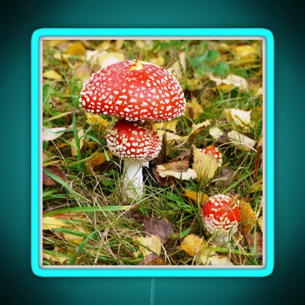 Amanita Muscaria Fly Agaric RGB Neon Sign