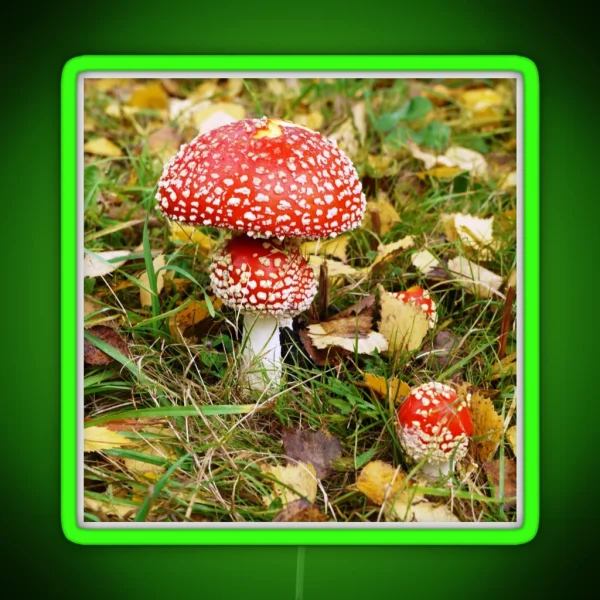 Amanita Muscaria Fly Agaric RGB Neon Sign