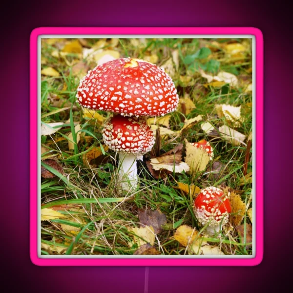 Amanita Muscaria Fly Agaric RGB Neon Sign