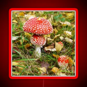 Amanita Muscaria Fly Agaric RGB Neon Sign