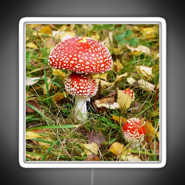 Amanita Muscaria Fly Agaric RGB Neon Sign