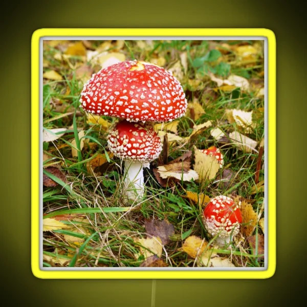 Amanita Muscaria Fly Agaric RGB Neon Sign