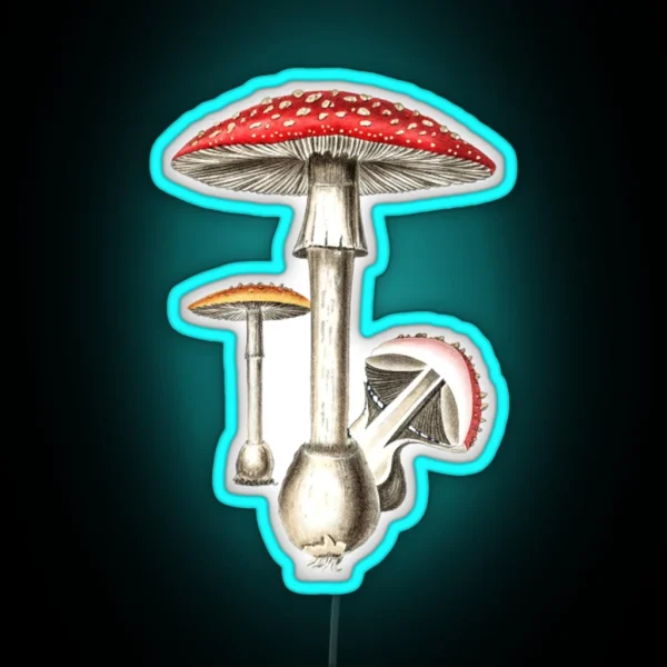 Amanita Muscaria Mushroom Botany Illustration RGB Neon Sign